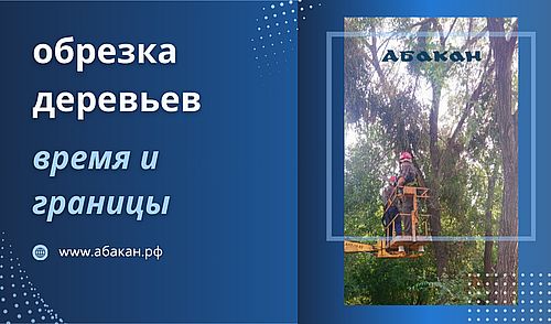 Фото Информотдел Администрации Абакана